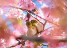 images (3)