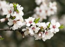 images (4)